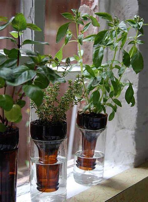 20 Best DIY Self-Watering Container Garden Ideas