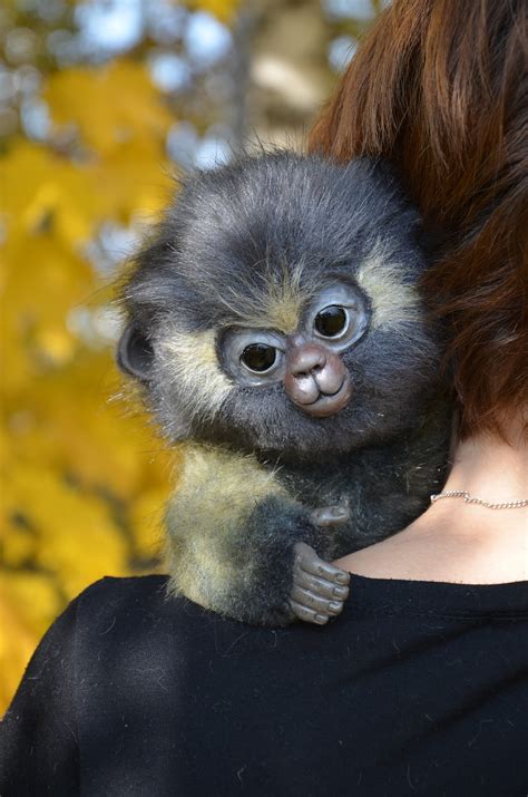 Animal realistic plush toy monkey Yasha | Etsy