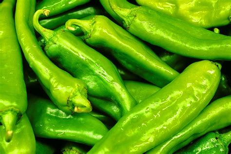 Chili Green Peppers Recipe at Lavonia Berrier blog