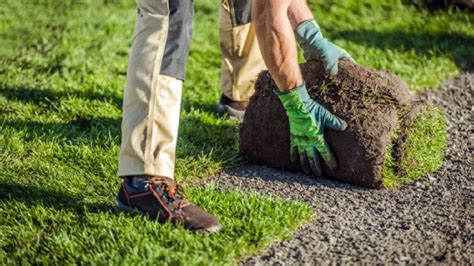 Football Field Maintenance | Soccer Field Maintenance | Tree Pruning