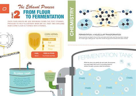 "The Ethanol Process: From Flour to Fermentation" - Vital | A news & media resource published by ...