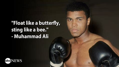 Muhammad ali's most memorable quotes: "float like a butterfly, sting like a bee." - scoopnest.com
