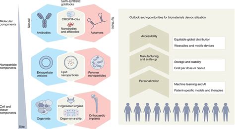 Commentary paper on semi-synthetic biomaterials published in Nature Materials — The Stevens Group