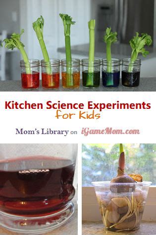 6 Kitchen Science Experiments for Kids