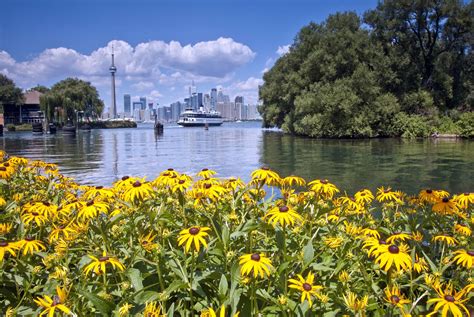 How to Take the Ferry to the Toronto Islands