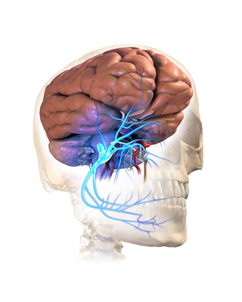 What are my treatment options for Trigeminal Neuralgia?