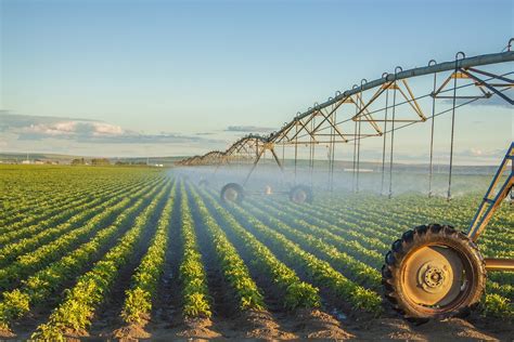 Acqua in agricoltura, 4 milioni a 69 aziende per impianti irrigazione