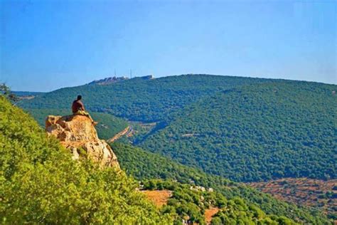 Ajloun | Naturaleza