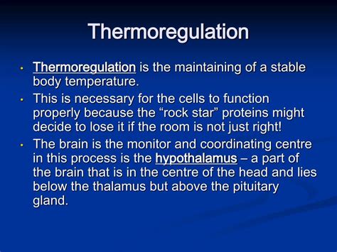 PPT - Homeostasis & Control Systems PowerPoint Presentation, free download - ID:705616