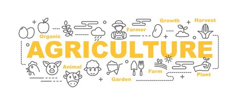 Agriculture vector banner 2257827 Vector Art at Vecteezy