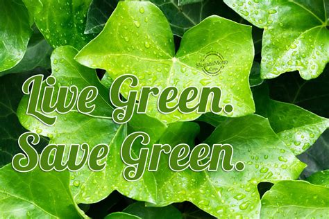 Go Green Slogans - Page 3