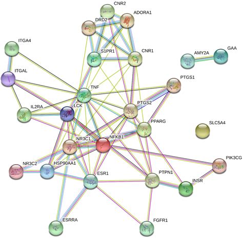 Protein–protein interaction network | Download Scientific Diagram