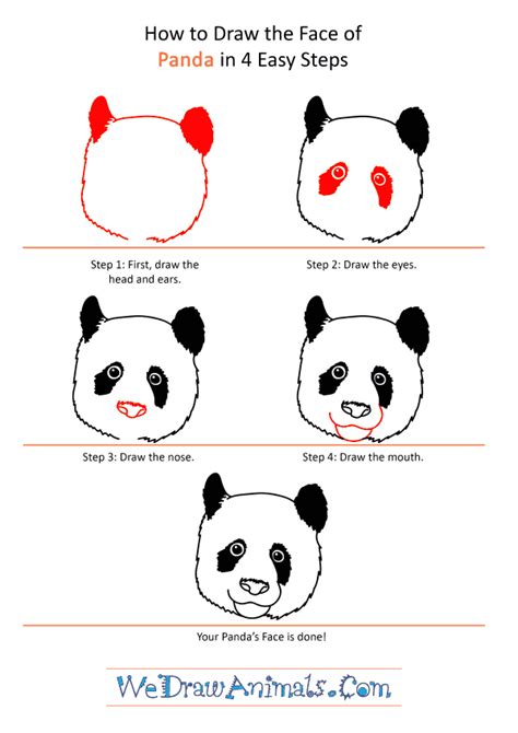 How to Draw a Panda Face