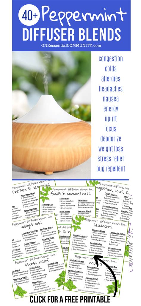 Peppermint Diffuser Blend Recipes | Essential oil diffuser blends ...