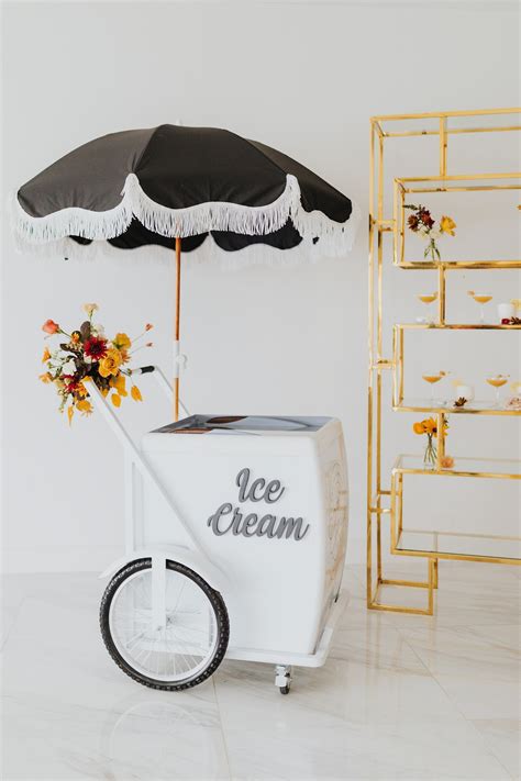 Ice Cream Carts | Cypress Photo Campers and Cones