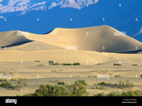 Sand Dunes Death Valley Stock Photo - Alamy