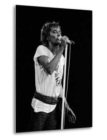 Rod Stewart Posters at AllPosters.com