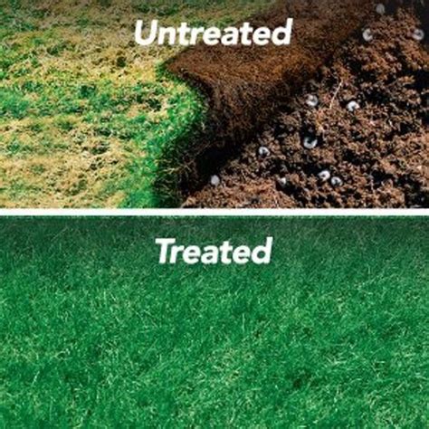 GrubEx Lawn Pesticide | Theisen's Home & Auto