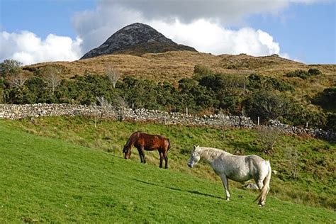 Connemara National Park & Visitor Centre (Galway) - 2020 All You Need ...