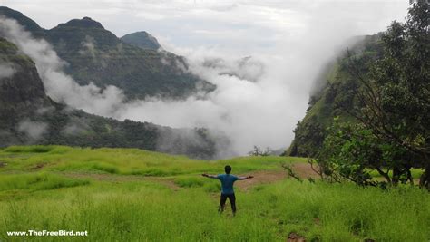 Kumbhe Waterfall Blog ️ The secret route to the beautiful waterfall