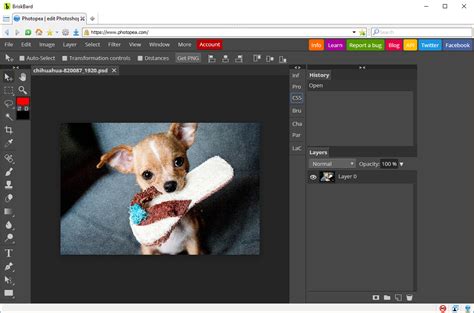 7 Best Free Online Photo Editors