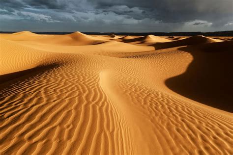 Desierto | ¿Cómo se forma un desierto? Explicación y Características