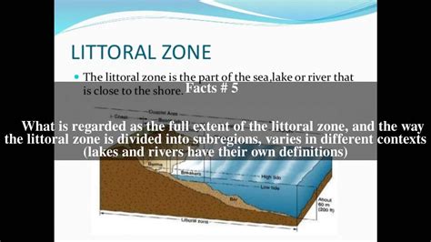 Littoral zone Top # 12 Facts | Littoral, Littoral zone, Facts