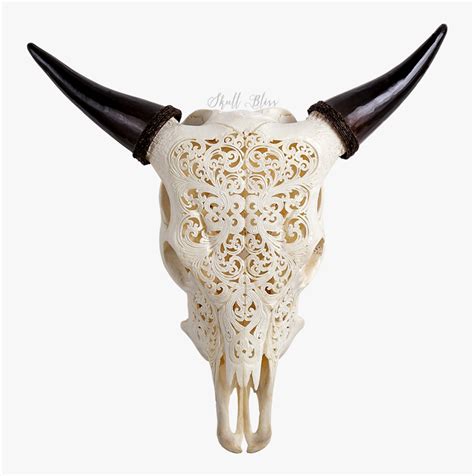 Engraved Cow Skull, HD Png Download - kindpng