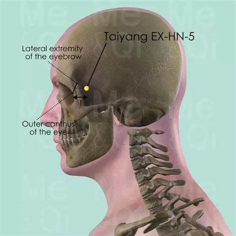 Taiyang EX-HN-5 Acupuncture Point