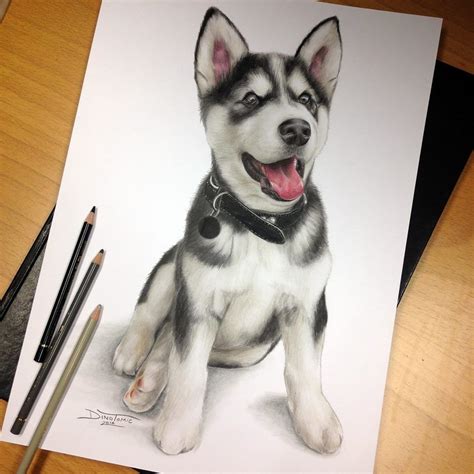 Puppy Pencil Drawing Dog Portrait Drawing, 3d Art Drawing, Color Pencil ...