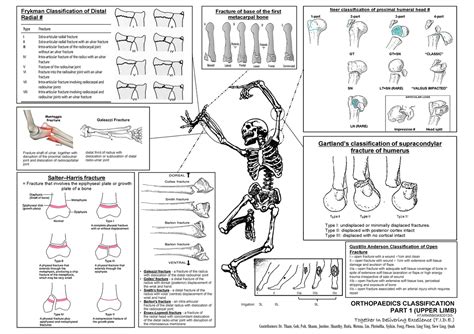 Ortho Notes - Frykman Classification of Distal Radial Galeazzi Fracture distal third of radius ...