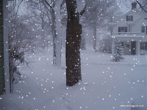 the feminist librarian: blizzard of '14 [more photos]