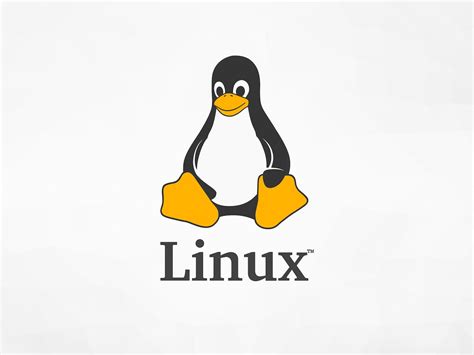 Linux zamanı neden 1 Ocak 1970’ten itibaren alıyor? - Kartal 24