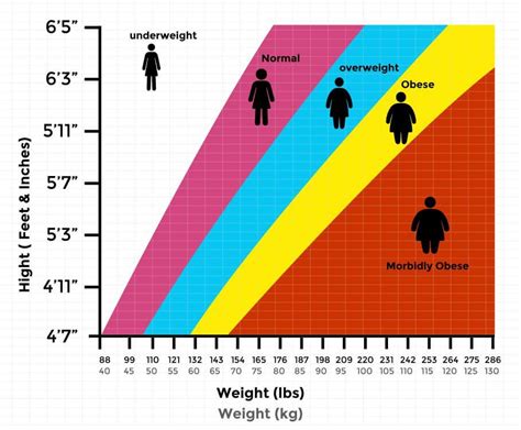 Pin on Health: Weight