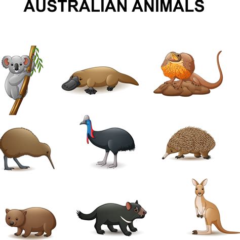 Australian Animals Collection By tigatelu | TheHungryJPEG