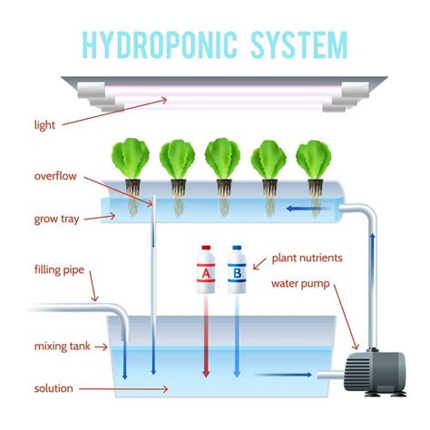 DIY: How To Make Homemade Hydroponic Nutrients