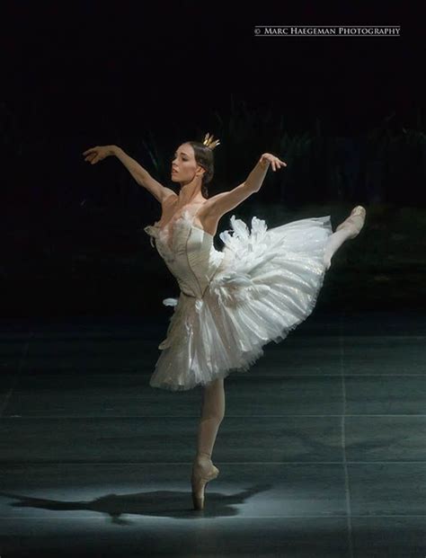 Swan Lake Costumes, Tutu Costumes, Theatre Costumes, Ballet Tutu ...