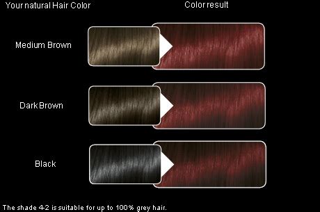 Schwarzkopf Hair Dye Instructions