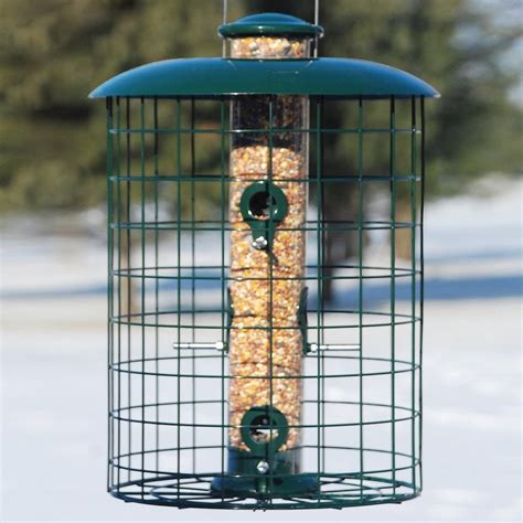 Shop WoodLink Metal Squirrel-Resistant Tube Bird Feeder at Lowes.com