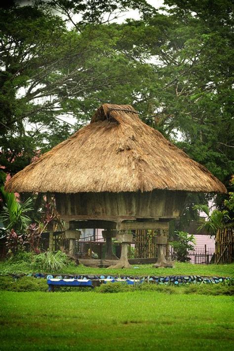 A typical Filipino house. Book me one on the beach with lots of fish, coconuts and Cerveza Negra ...