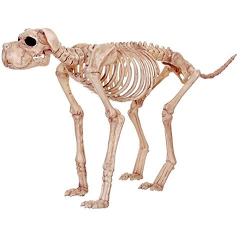 Lrg Skeleton Dog ** Continue to the product at the image link. (This is ...