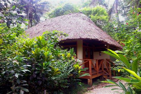 Belize Accommodations Gallery – Caves Branch Jungle Lodge | Luxury tree ...