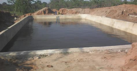 AMISODAGO CONSULTANCY FIRM: Construction of the durable concrete pond.