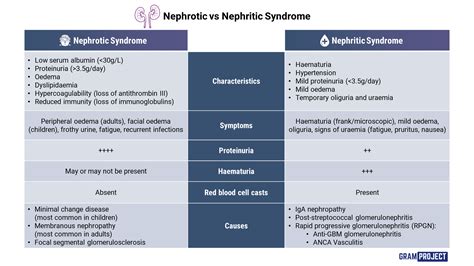 Nephrotic Vs Nephritic Syndrome Mnemonic