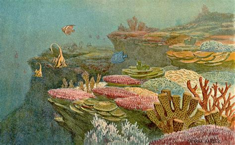 Devonian Earth – The Age of Fishes and Forests - Earthly Universe