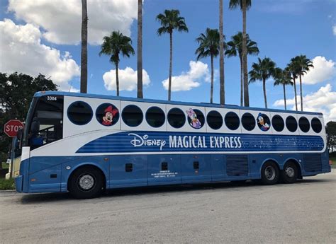 The Accessibility Problem of Cancelling Magical Express