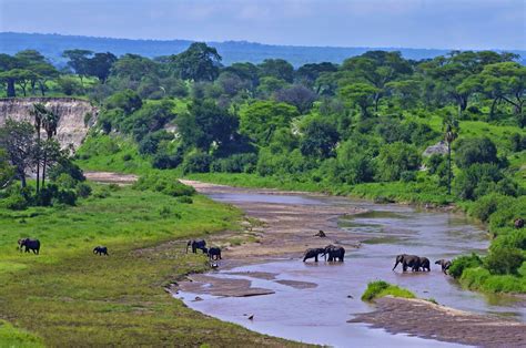 Tarangire National Park travel | Northern Tanzania, Tanzania - Lonely ...