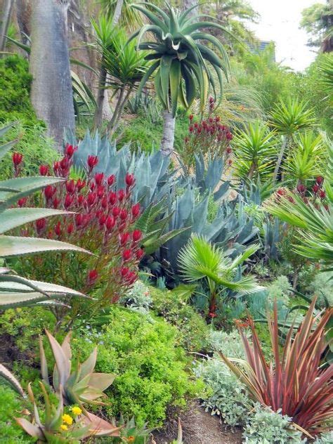 82 Arid Landscape ideas in 2021 | garden design, landscape design, landscape