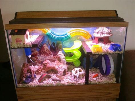 Hamster habitat, Hamster toys, Hamster tank