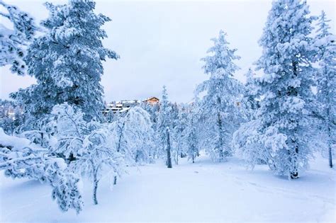 Photo in the White Wood of Saariselka during Winter Editorial Photo - Image of architecture ...